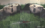 The Salvatore brothers