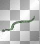 serprent snake animal