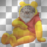 Willy the Pooh ~stina.scott