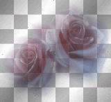 soave deco flowers pink transparent