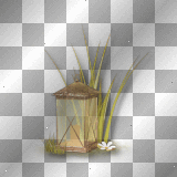 Lamp grass Lamp grass