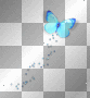 Butterfly fantasy blue Butterfly fantasy blue