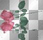 ♥pink rose flower leaves.²u