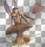 artemia 