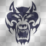 tatouage wolf