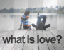 What is love?   .