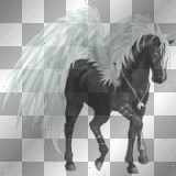  howrse -black GA horse
