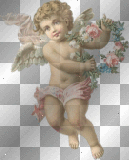 angel rossi_61