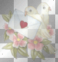 love  bird