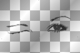 ♥ Eyes ♥  [ORIGINAL made by crissandy]
