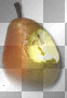 Pear fruit 