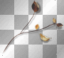 Branch leaves gold brown 