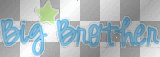 big brother