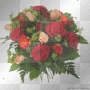 red roses