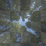 background bbateman15