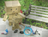 Danbo fell off Bike!