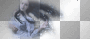 amon // woman