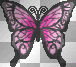 cecilia deco mariposa
