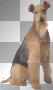 dog dubravka dog dubravka
