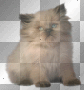 cat ludmilla1959   