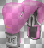 PINK GLOVES BL