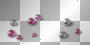 Pearls pink silver Pearls pink silver