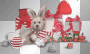 Presents red white