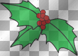 HOLLY