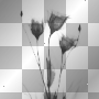 MELBA  FLOR BLACK