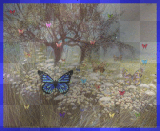 field-butterfly-trees