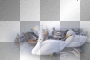 amon // birds