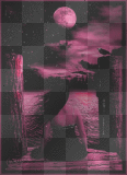 Paisagem 11