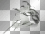 white ludmilla1959       
