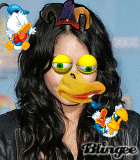 Duckessa XD