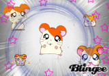 hamtaro