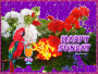 Happy Sunday
