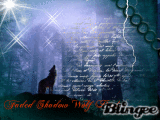 Faded Shadow Wolf Pack by IceMen-Sis