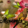 moments moments