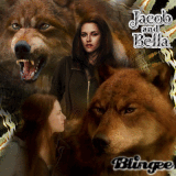 it's a wolf thing it's a wolf thing