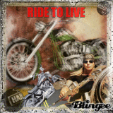 (((*Harley Davidson Challenge*)))