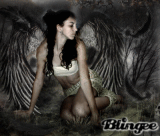 Fallen Angel