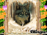 le loup. 