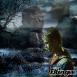 Harry Potter and the Deathly Hollows