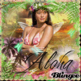 aloha sunset fairy~ (pdb)