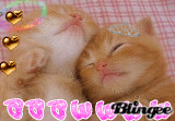 awwwwwwwwww