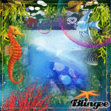 sea life,,,