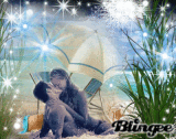 sommer der liebe