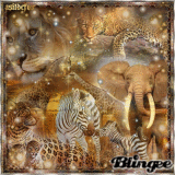 Afrique sauvage