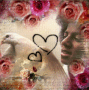Michael with Pigeon and Roses Michael with Pigeon and Roses