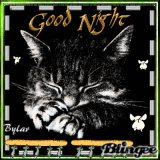 good night !!!!